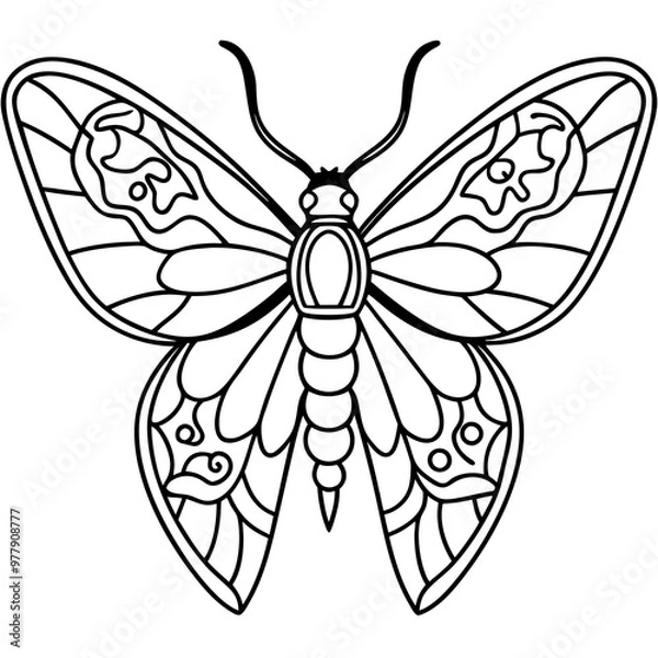 Fototapeta Moth with detailed wings and intricate patterns on its body vector