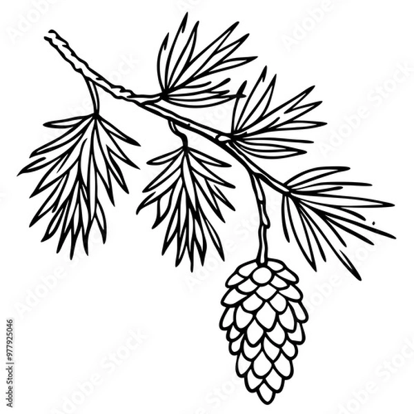 Fototapeta Snow-Covered Pine Branch with Pine Cones - Vector Art