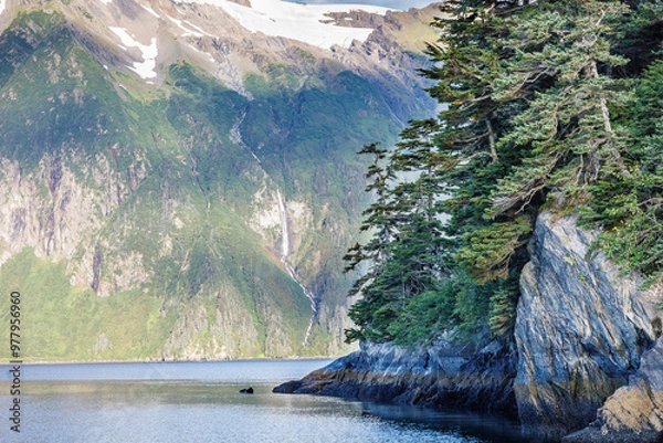 Obraz Alaska Scenery