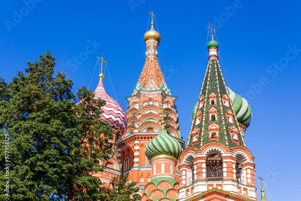 Fototapeta The colorful domes of St. Basil's Cathedral in Moscow, featuring intricate designs and vibrant patterns, rise against a clear blue sky.
