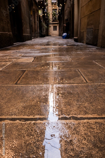Obraz Calles mojadas con reflejos