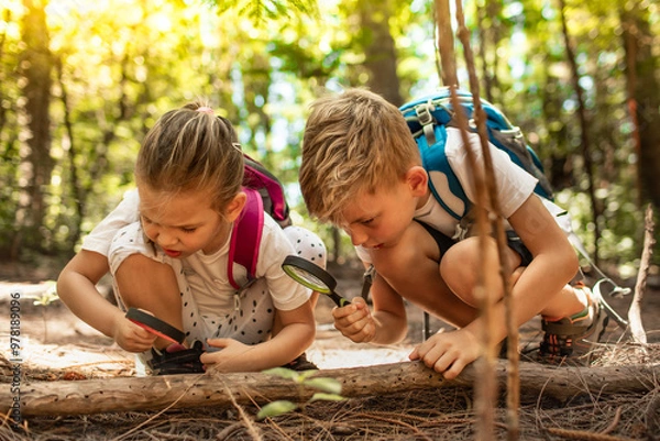 Obraz Children using magnifying glass exploring in the forest, child discovery adventure, learning about nature concept 