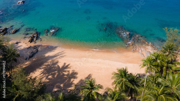 Fototapeta exotic palm trees wood at beach horizontal Video , Travel concept