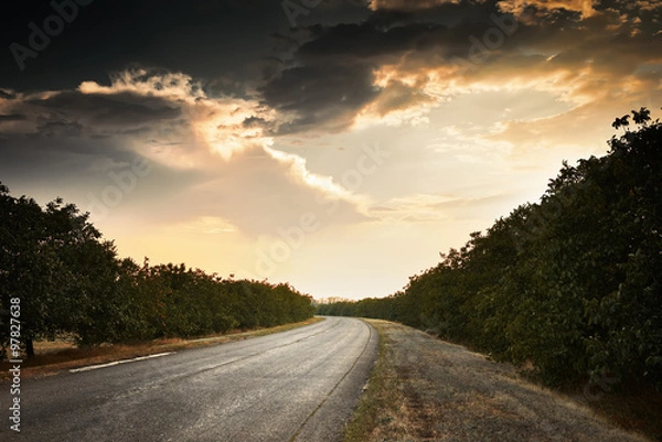 Obraz beautiful sunset on road, summer landscape