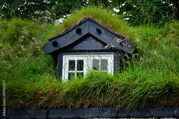 Fototapeta tetti verdi