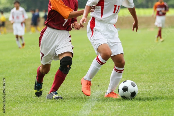 Fototapeta サッカー　フットボール