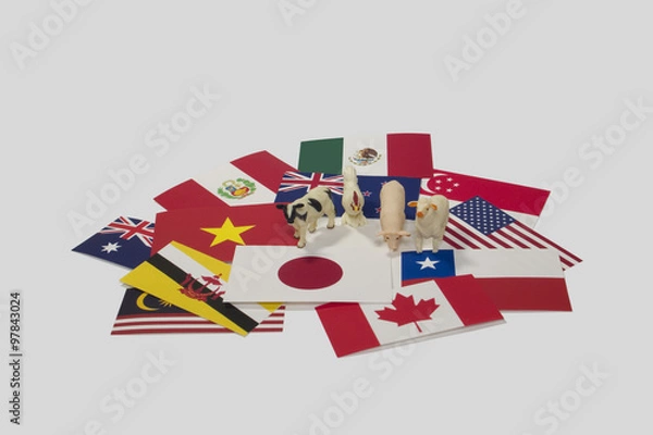 Obraz 環太平洋パートナーシップ協定・TPP