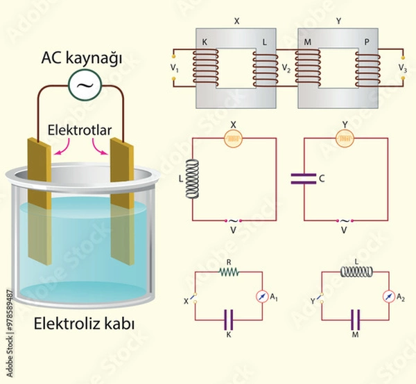 Fototapeta Physics Lesson (Magnetic effect of current - Alternating current, Electronics)