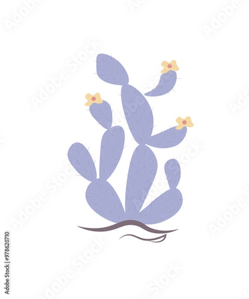 Fototapeta vector cactus illustration, illustration in flat graphics cactus with flowers