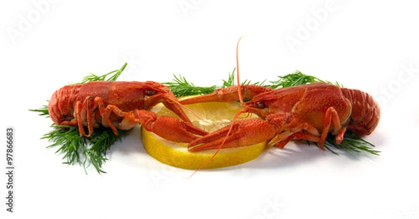 Obraz Boiled crawfish