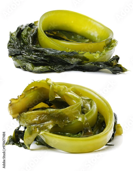 Obraz seaweed on white background