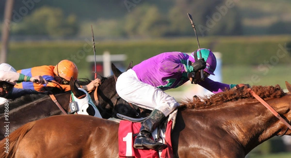 Obraz wyścig konny 3