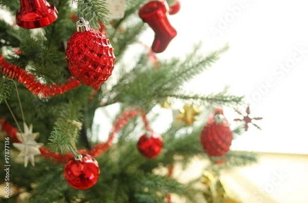 Fototapeta クリスマスツリー