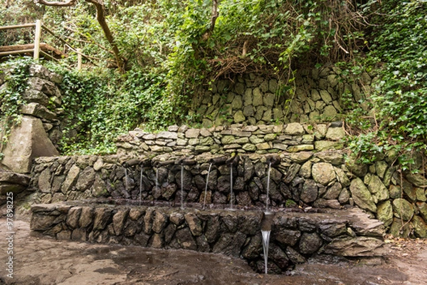 Obraz Chorros de Epina