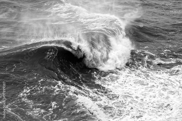 Obraz Dynamic black and white waves