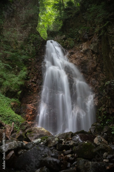 Fototapeta 豪快な滝　乗政大滝