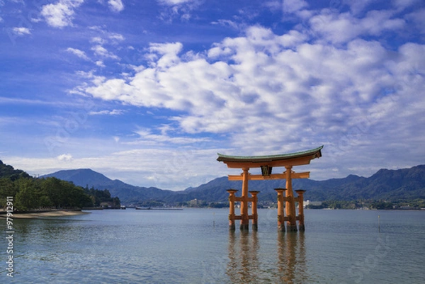 Fototapeta 厳島神社の大鳥居とうろこ雲