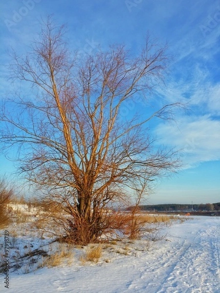 Obraz Зимний пейзаж