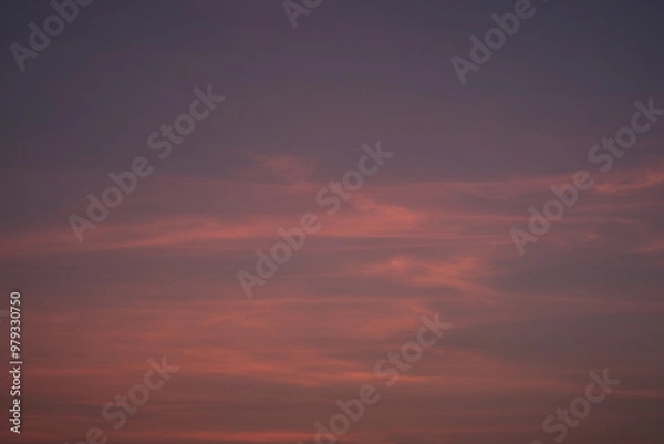 Obraz sunset in the sky