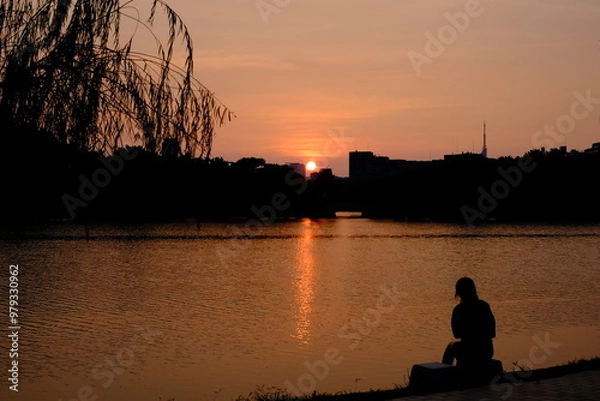 Obraz sunset on the river