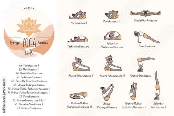 Obraz Hand drawn hatha yoga poses and their sanskrit names, Iyangar yoga asanas 64-75
