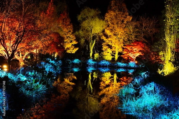 Obraz モネの庭ライトアップ