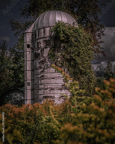 Fototapeta old silo 