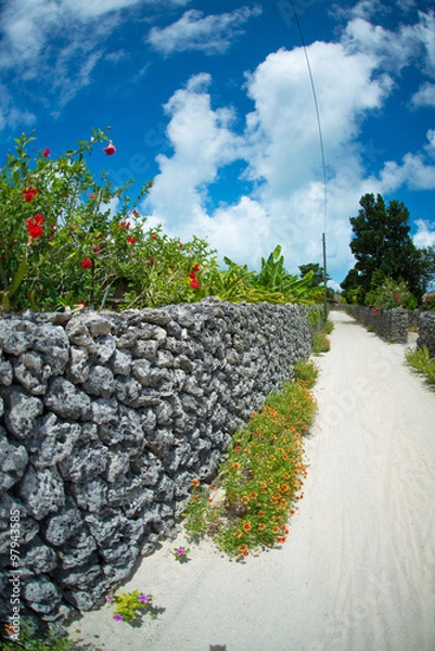 Obraz 花と珊瑚の道