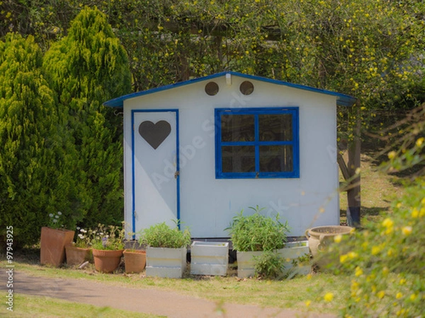 Fototapeta 花畑の小屋