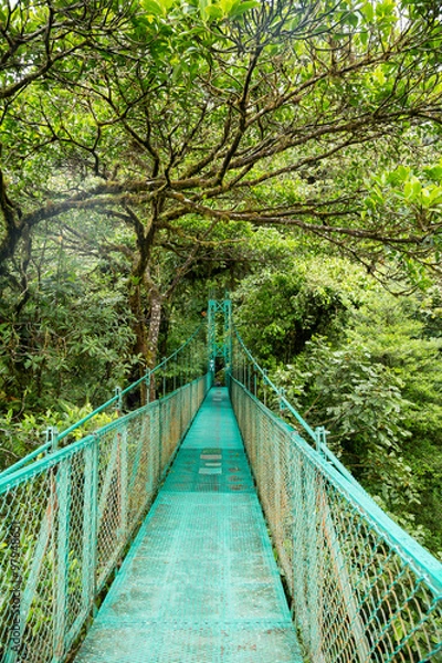 Fototapeta eine Brücke im Regenwald in Costa Rica