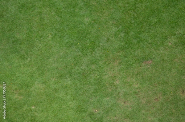 Obraz rough green grass and dirt as background texture