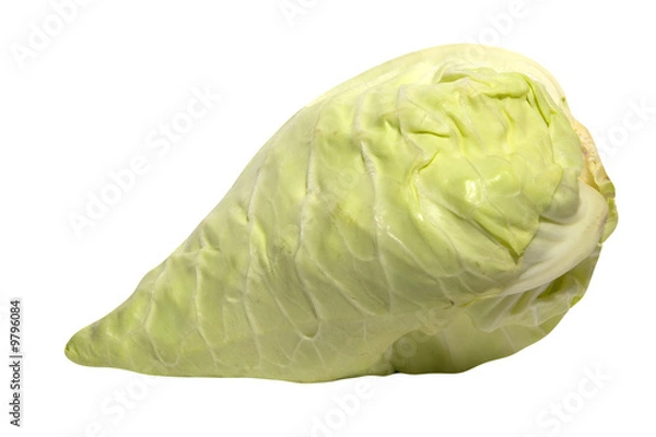 Obraz Frischer Spitzkohl