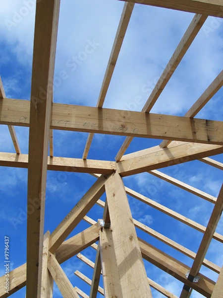 Obraz charpente