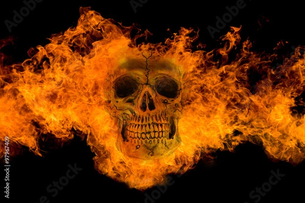 Fototapeta Fire skull