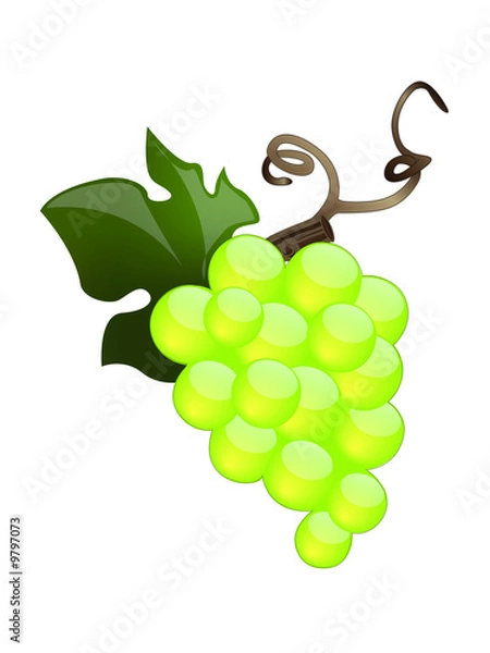 Obraz Grappe de raisin blanc