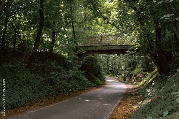 Fototapeta This quiet road winds through the dense forest, offering a serene escape from the outside world. Overhead, the bridge adds a sense of mystery to the journey.