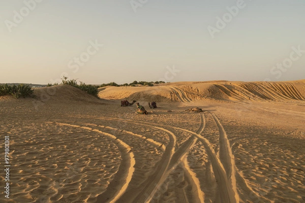 Fototapeta Car tyre marks on sand dunes of Thar desert, Rajasthan, India. Tourists arrive on cars to watch sun rise at desert , a very popular activity amongst travellers.