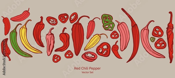 Fototapeta Hand drawn chili pepper, line art vector isolated set. Chili pepper outline. Red, green, yellow pepper on the white background. Jalapeno. 