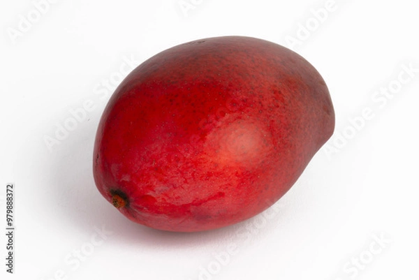 Fototapeta Mango isolated on white background