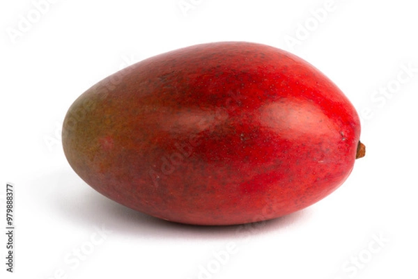 Fototapeta Mango isolated on white background