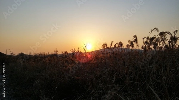 Fototapeta 저녘노을