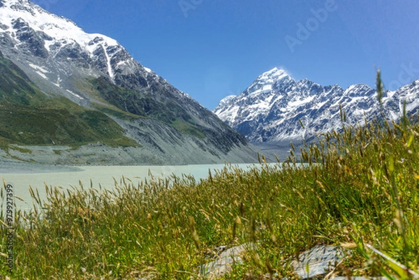 Fototapeta Lake Pukaki & Lake Tekapo Views with Lupin Fields, Hooker Valley Track, Southern Alps, Mt Cook Mountains Glacial Rivers, Snow-Capped Peaks, Scenic Trails, Landscape New Zealand’s Canterbury Queenstown