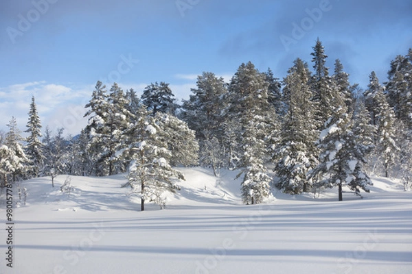 Obraz Winter landscape in untouched nature