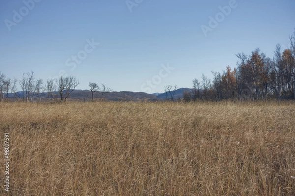 Obraz Hardangervidda in the fall