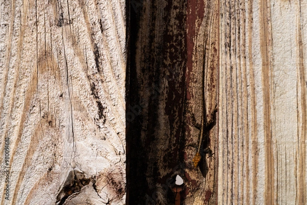 Obraz old wood texture