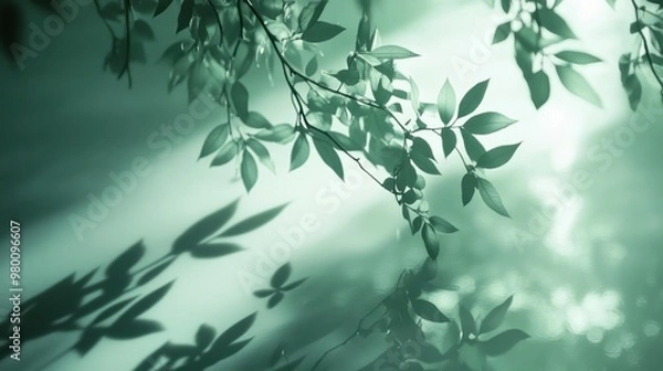 Fototapeta Soft green light gently illuminating a reflective surface, casting calm and serene shadows.