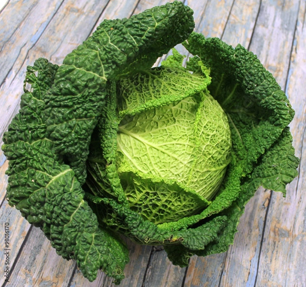 Fototapeta choux vert