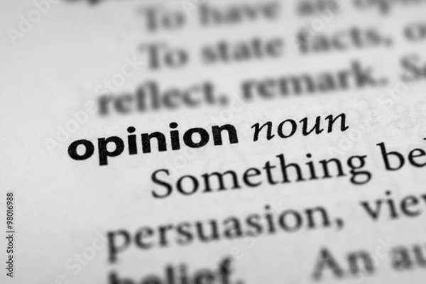 Obraz Opinion