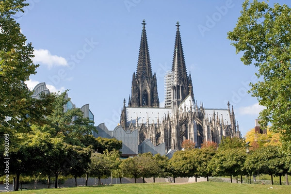 Obraz Kölner Dom mit Park