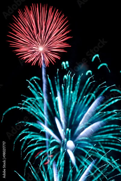 Obraz Spider lily